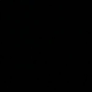 Meet your Posher, Brady